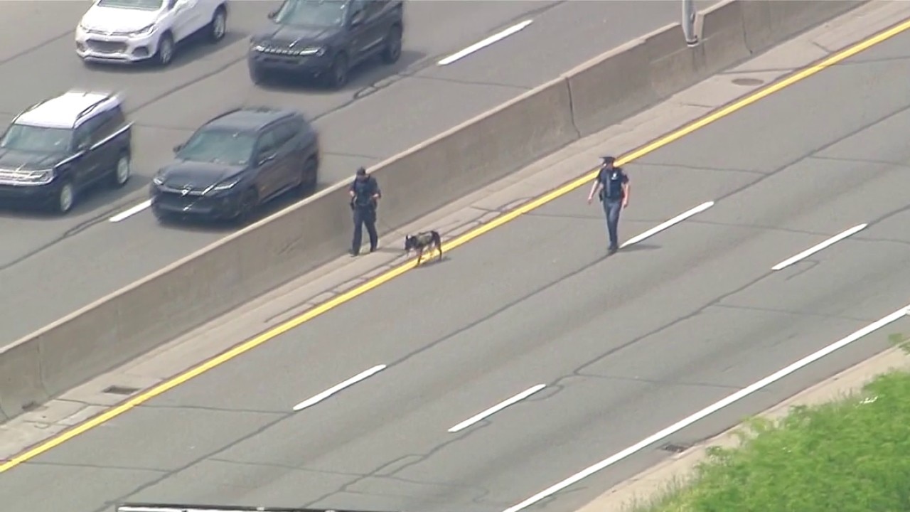State police investigate suspected shooting on Southfield freeway