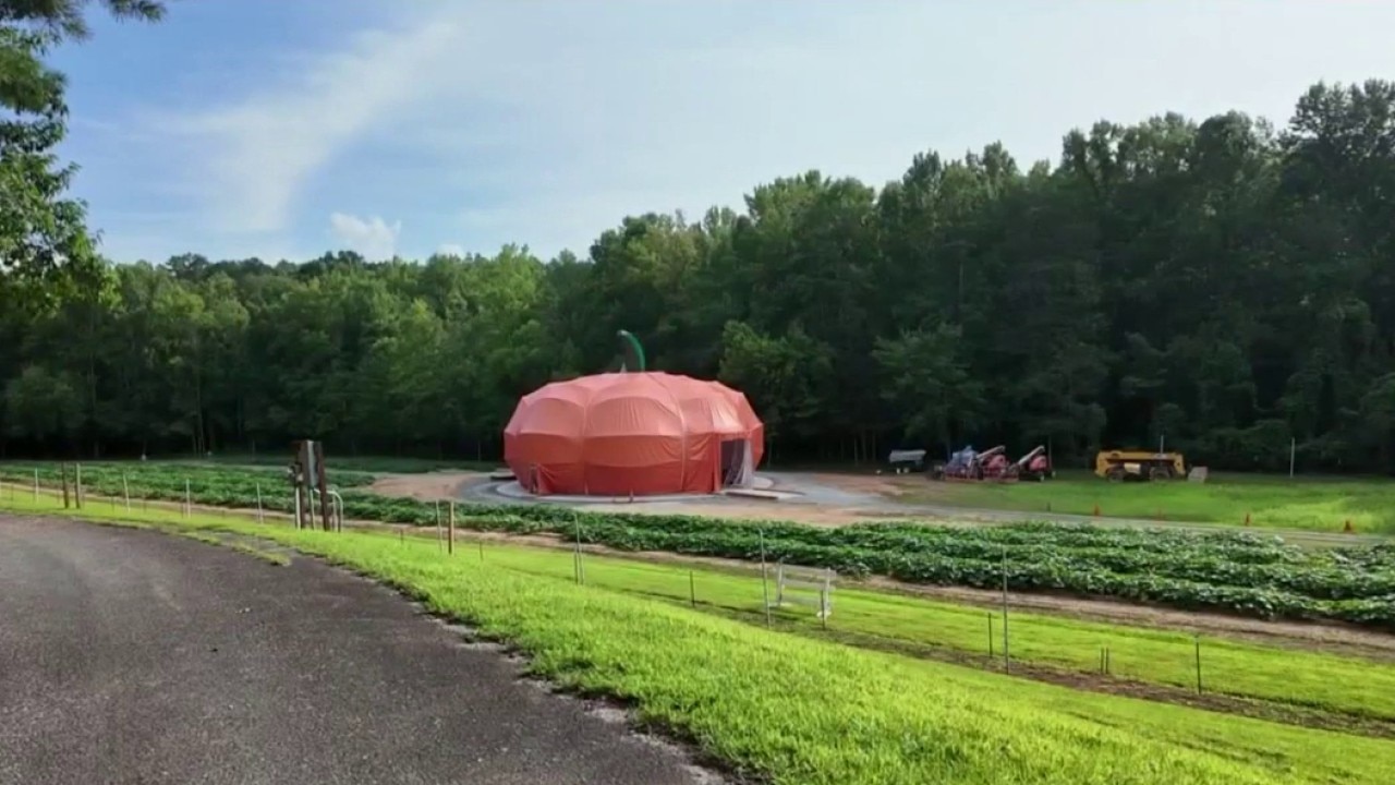 Drive-thru pumpkin in North Georgia opening soon