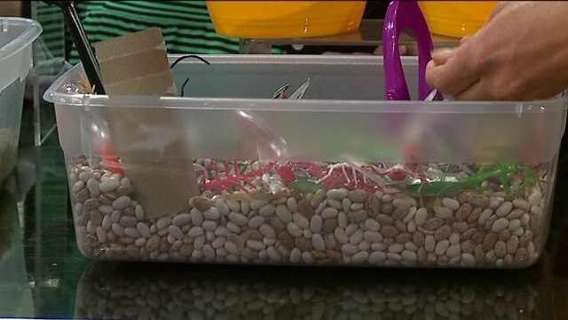 Save the day with sensory play: Ways to entertain the kids on a rainy day