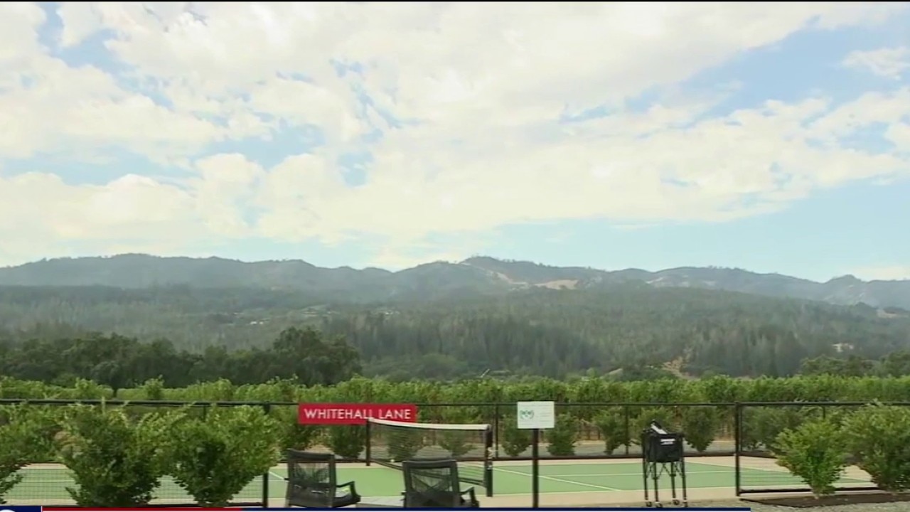Wine tasting: How pandemic team bonding created a new Napa experience
