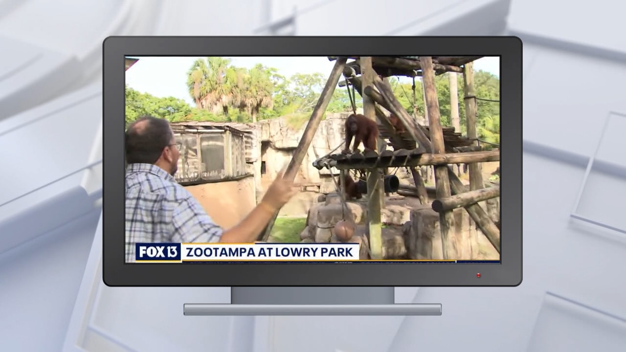 Good Day Goodies: July 2, 2021