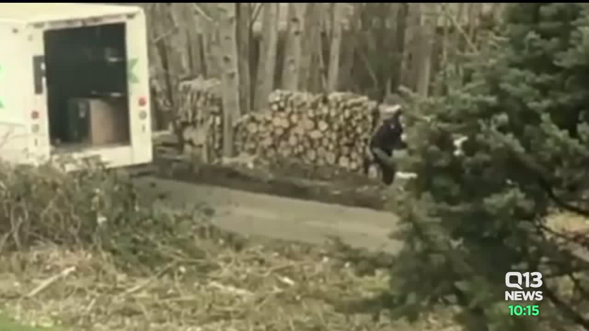 FedEx worker theft?