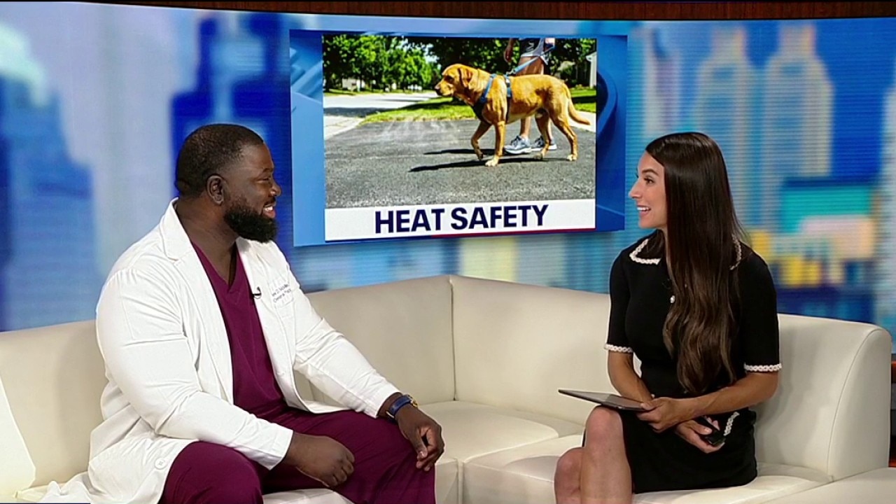Summer survival tips for pets