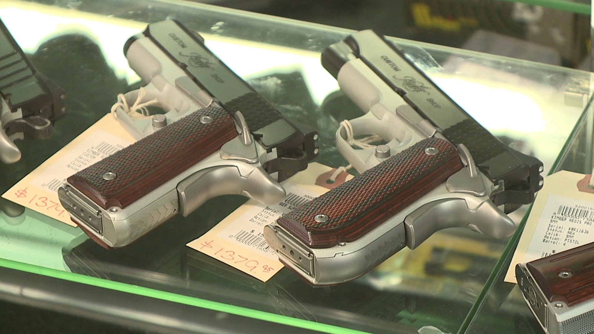Gun protection order law