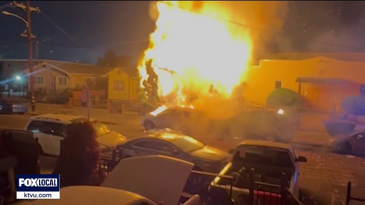 Illegal 4th of July fireworks ignite fire, damage vehicles and tree in Oakland