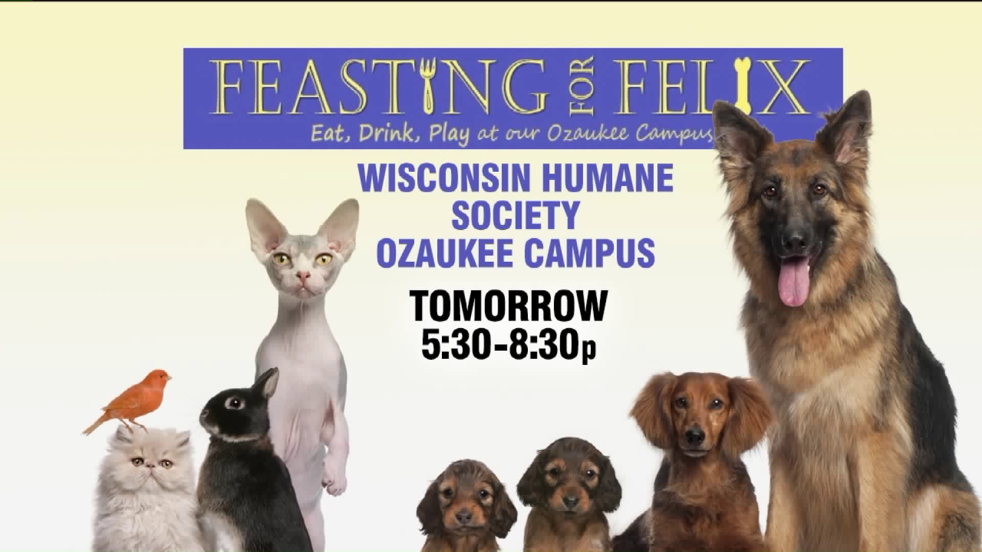 Feasting for Felix