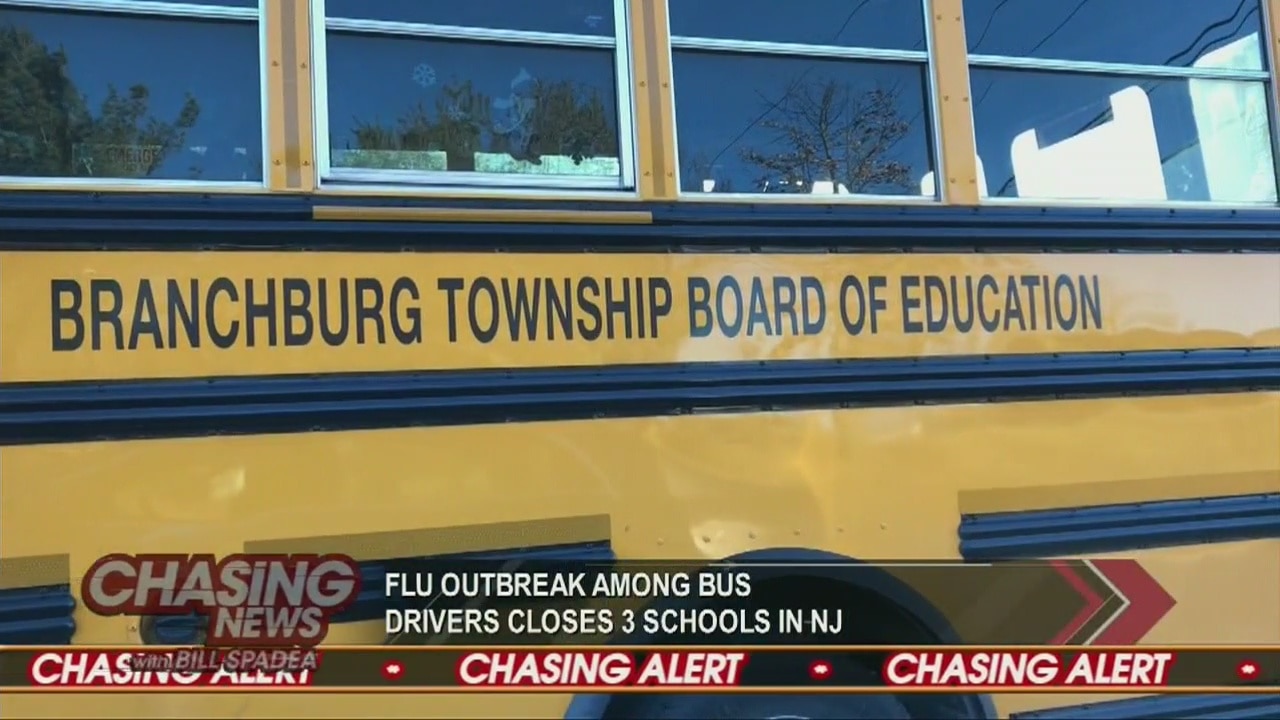 Schools closed due to flu
