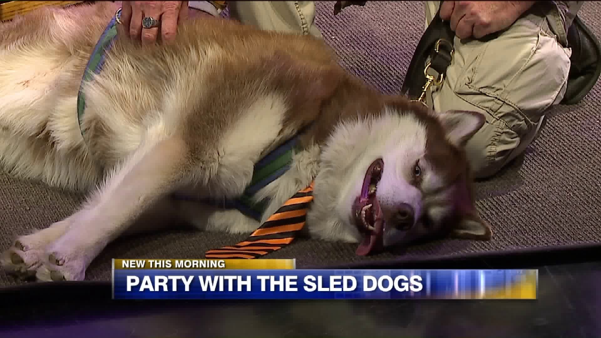 Door County Sled Dogs are here with details on a VERY important fundraiser