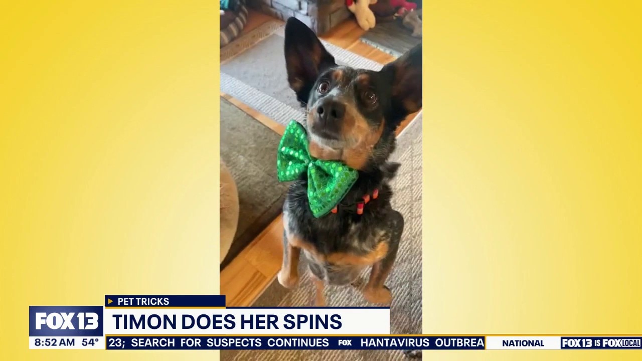 Good Day Pet Tricks for Tuesday, May 5