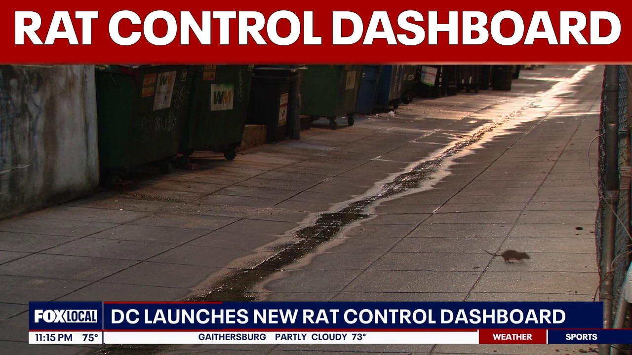 DC launches new rat control dashboard