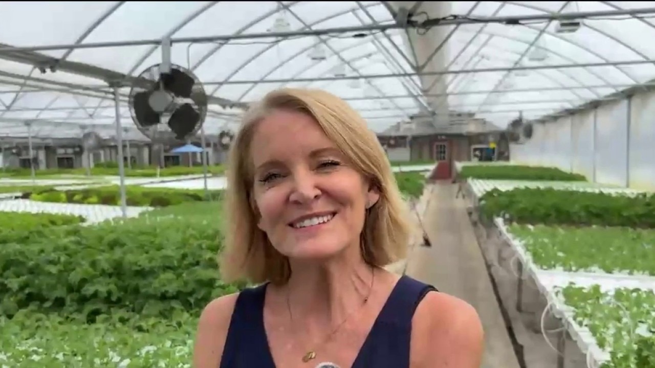 Cyclospora outbreak drive local lettuce demand