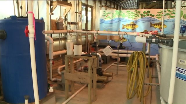 Behind the scenes look at research space at Growing Power
