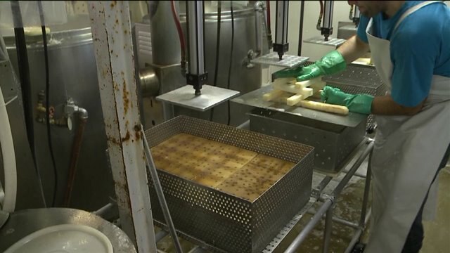 Chip learns how to extract soy beans