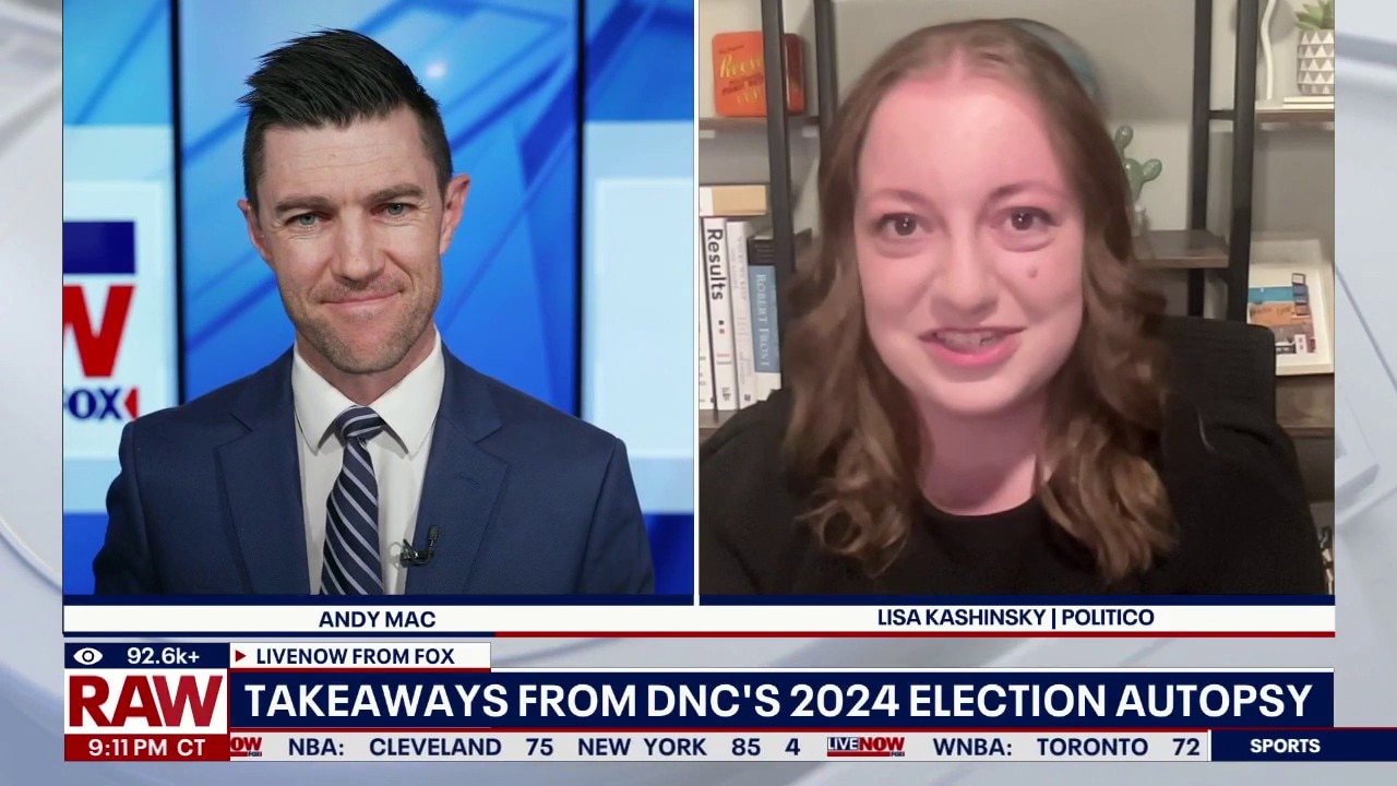What went wrong? DNC releases 2024 autopsy report