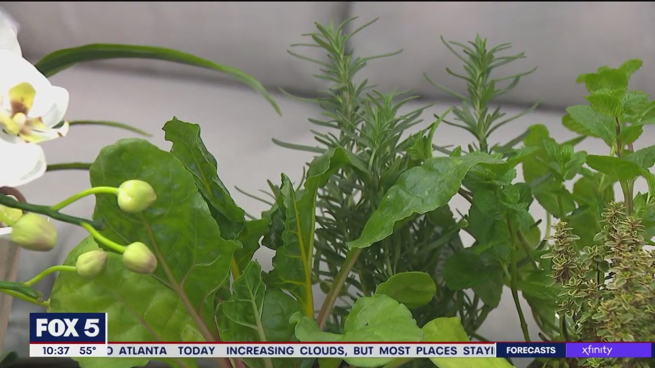 Garden resolutions to make for the new year