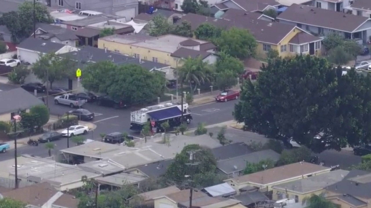 Dog shot in South Los Angeles