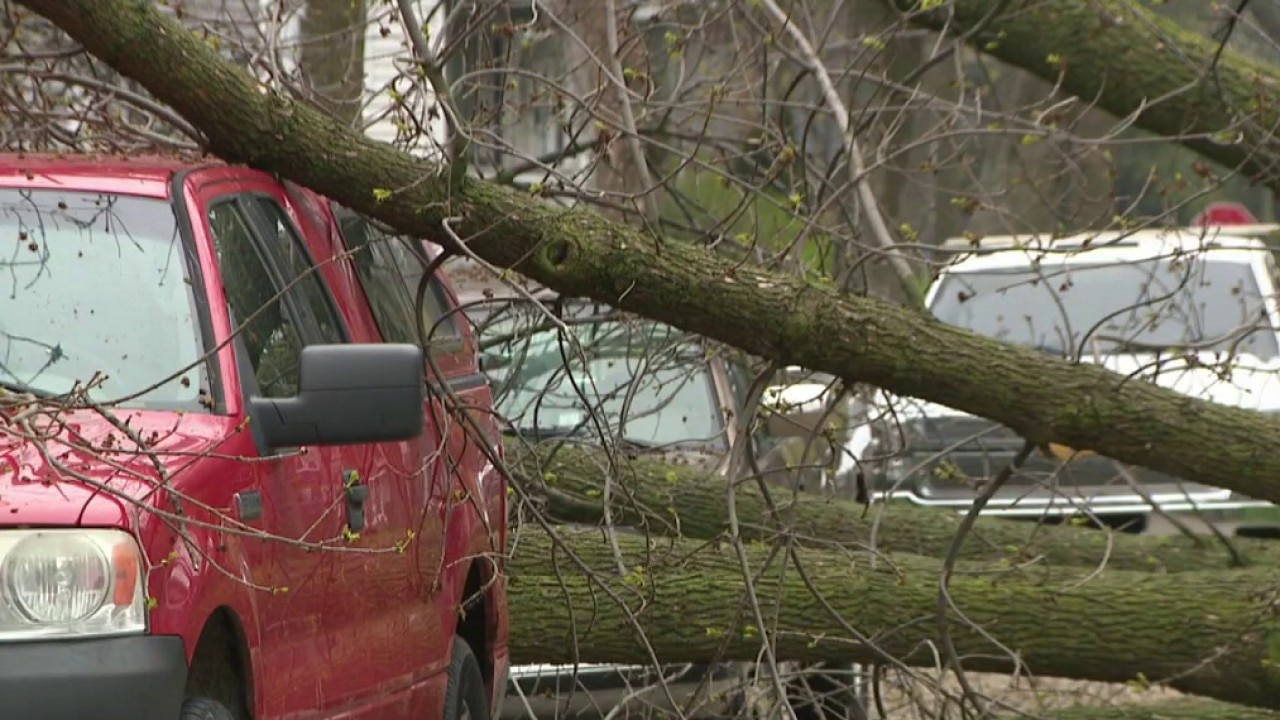 Wind gusts slam SE Wisconsin; power knocked out, trees toppled