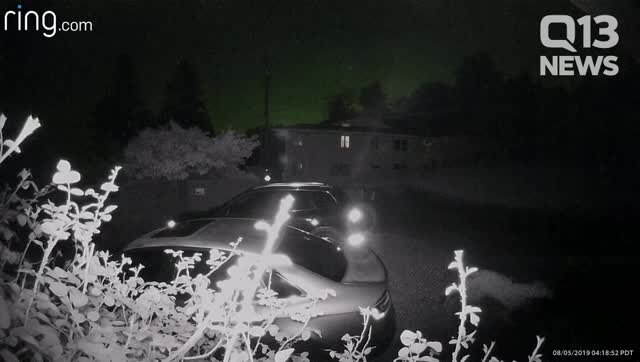 Cougar seen prowling through Mercer Island neighborhood