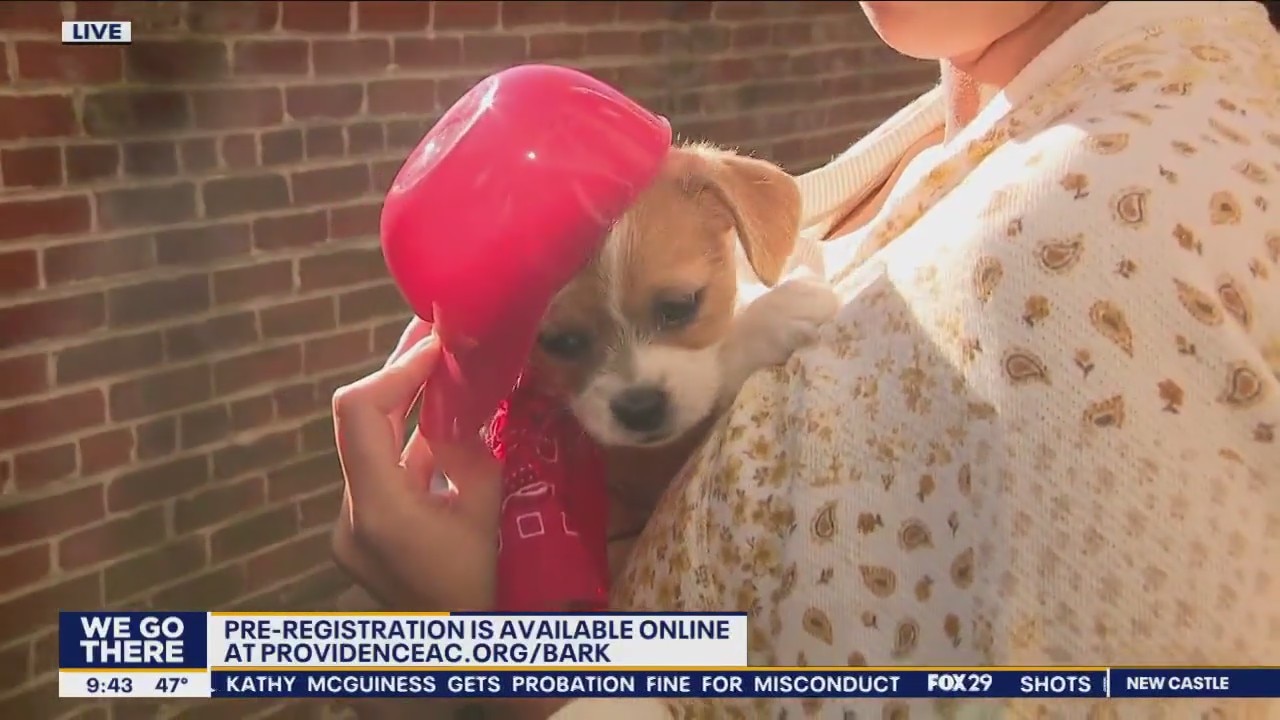 Providence Animal Center hosting Bark in the Park this weekend