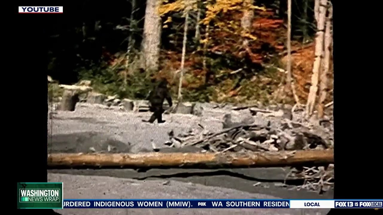 New film 'Capturing Bigfoot' details decades-old search for Sasquatch