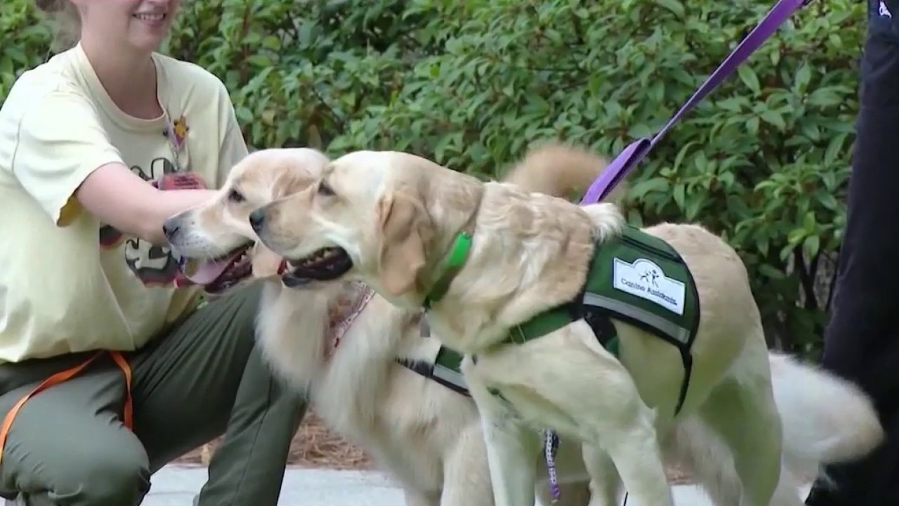 Facility Dog Games at Arthur M. Blank Hospital