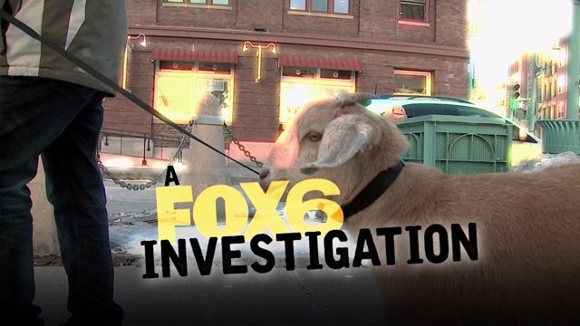 Sunday on FOX6 News at 9