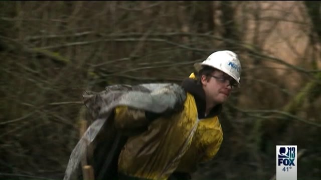 Wetland Oil Spill