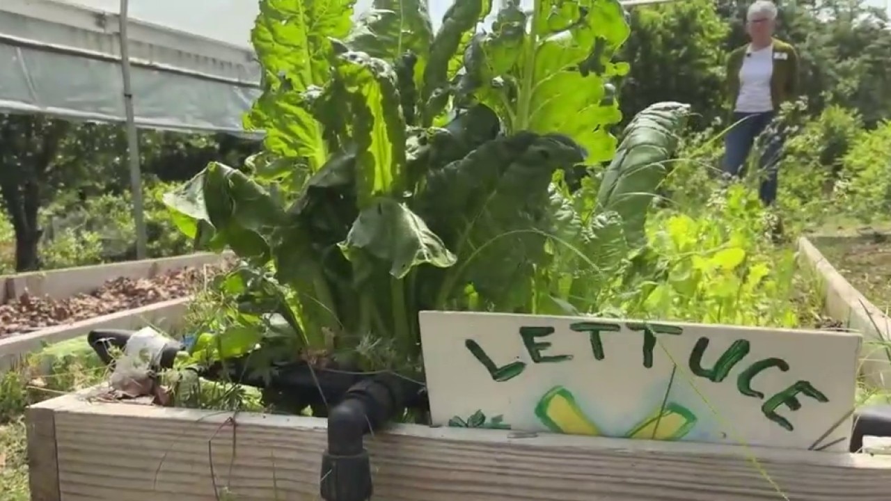Young farmers workshop brings fresh harvests to students