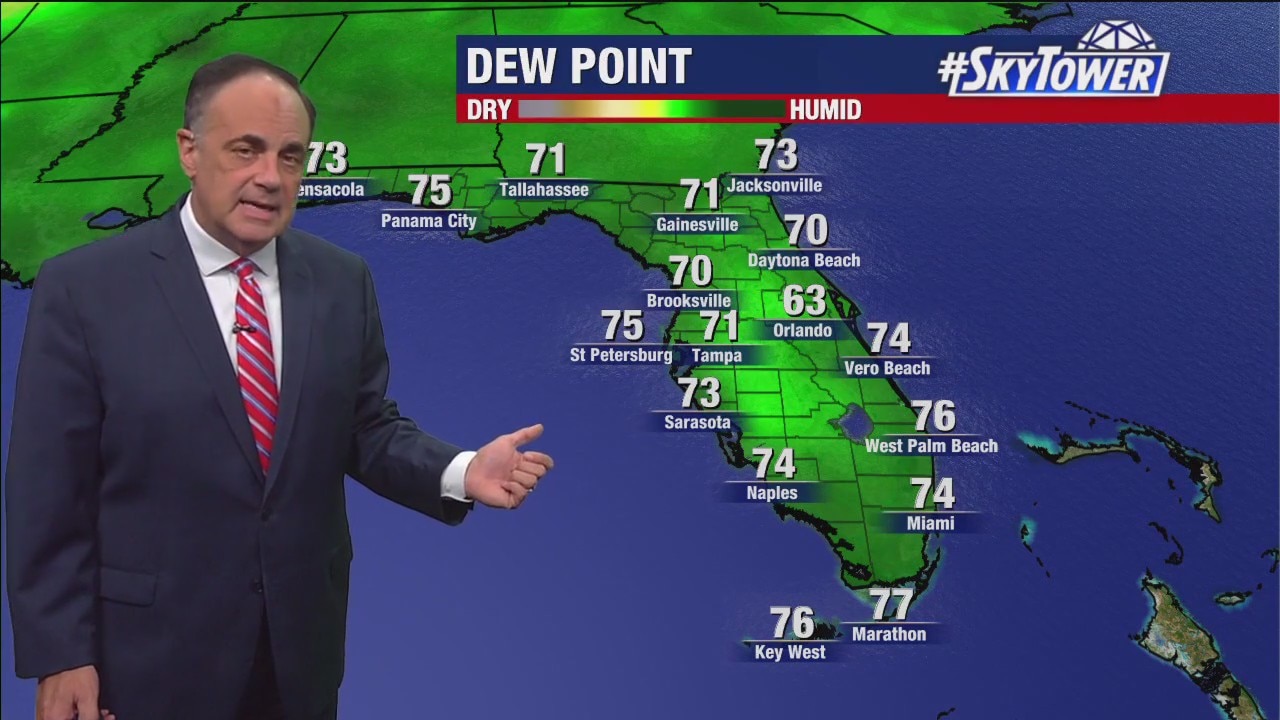 Tampa weather | Hot with increasing humidity
