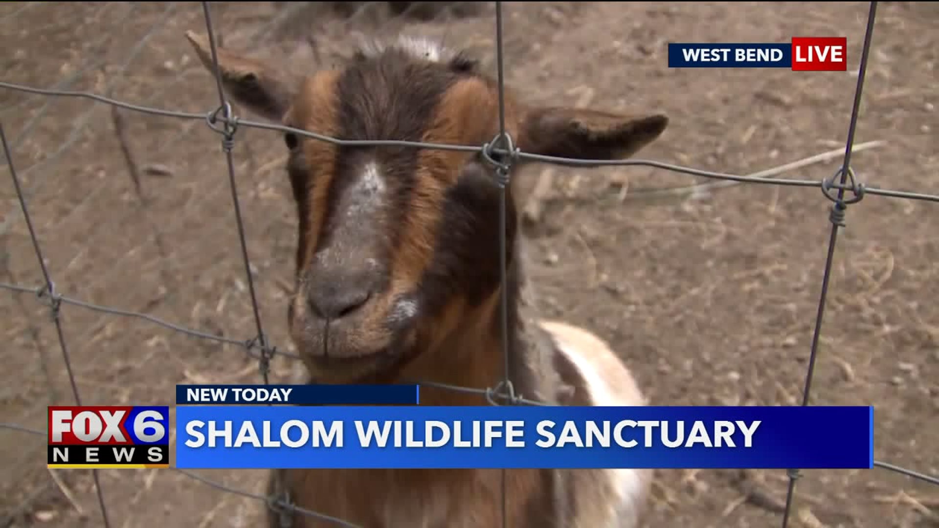 Shalom Wildlife Sanctuary