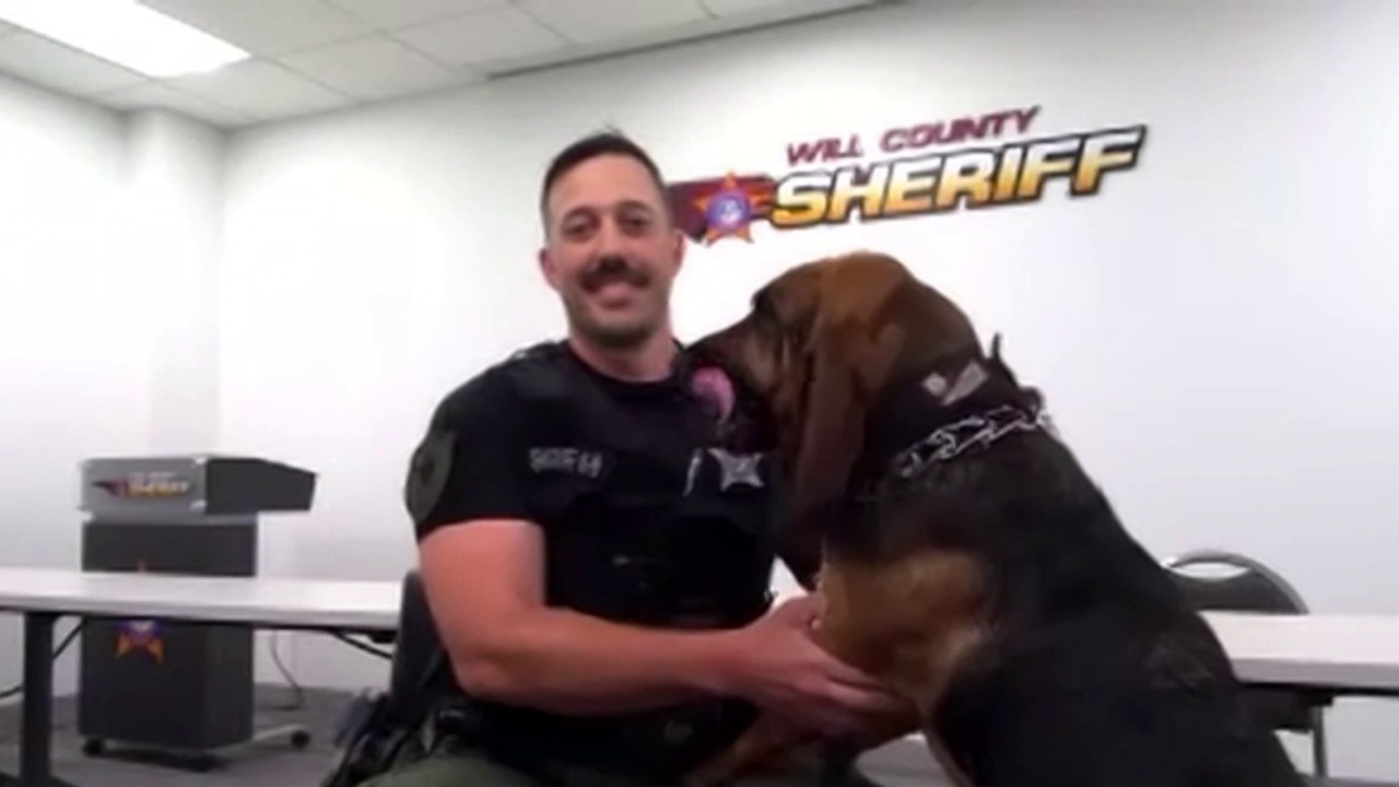 Will County Sheriff's K-9 helps find man with dementia | ChicagoLIVE