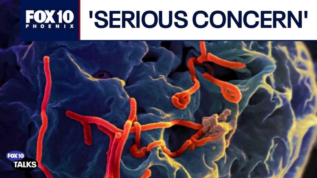 Ebola virus outbreaks discussed by doctor | FOX 10 Talks