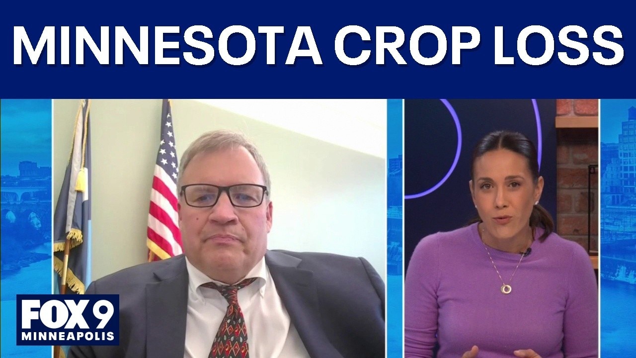 Minnesota farmers battle drought, crop loss