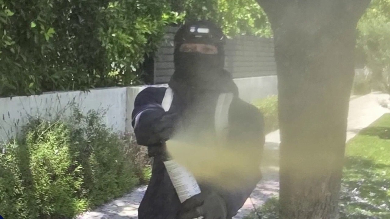 Neighbor hit with bear mace during break-in