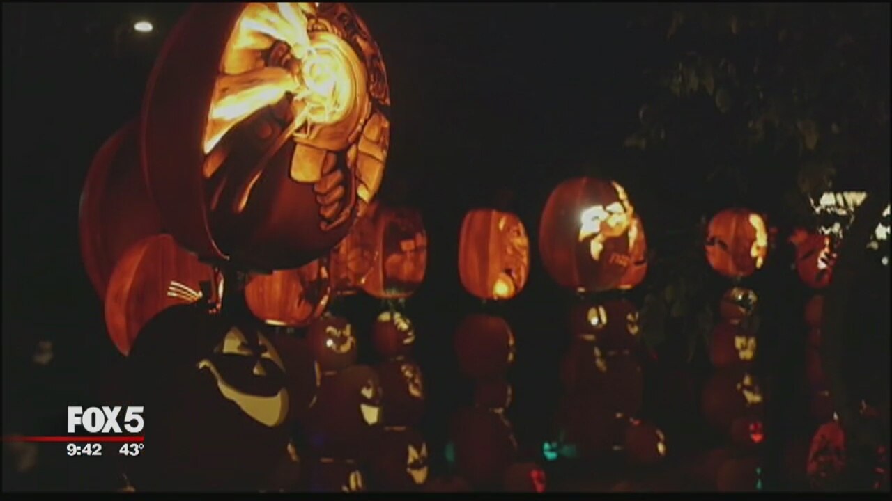 Rise of the Jack O'Lanterns