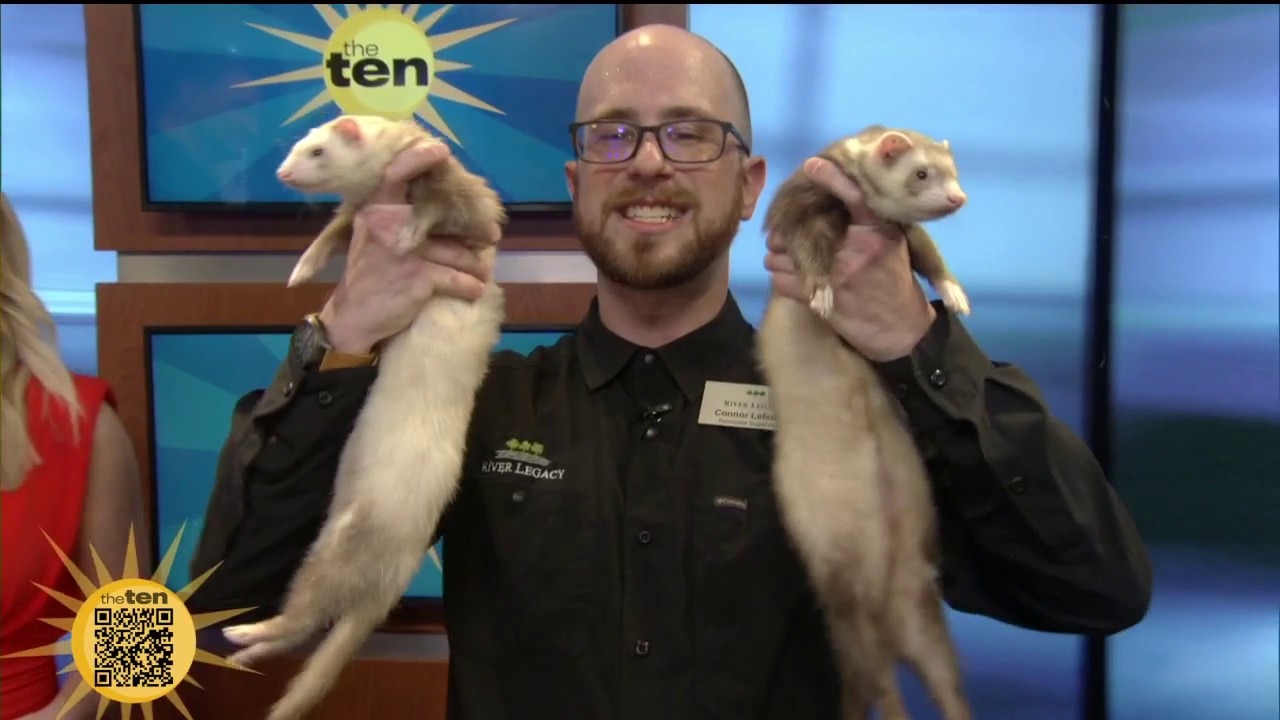 River Legacy Nature Center | The Ten