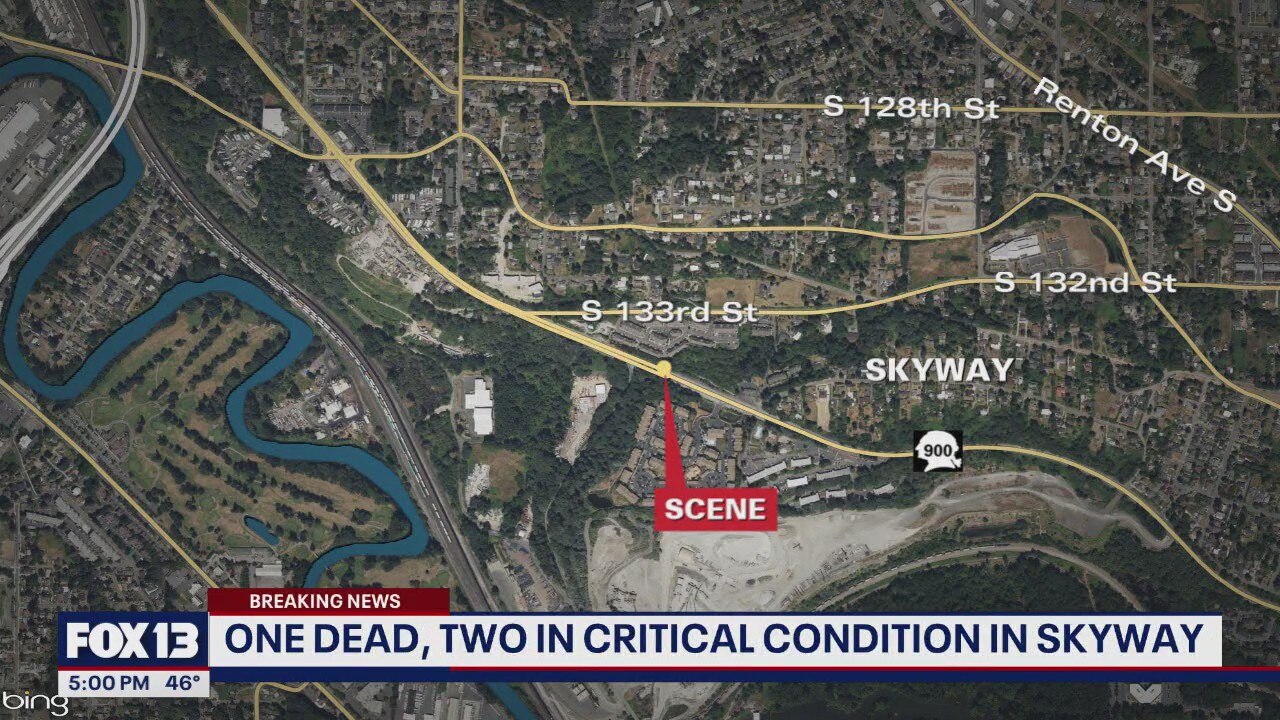 1 juvenile dead, 2 in critical condition in Skyway, WA