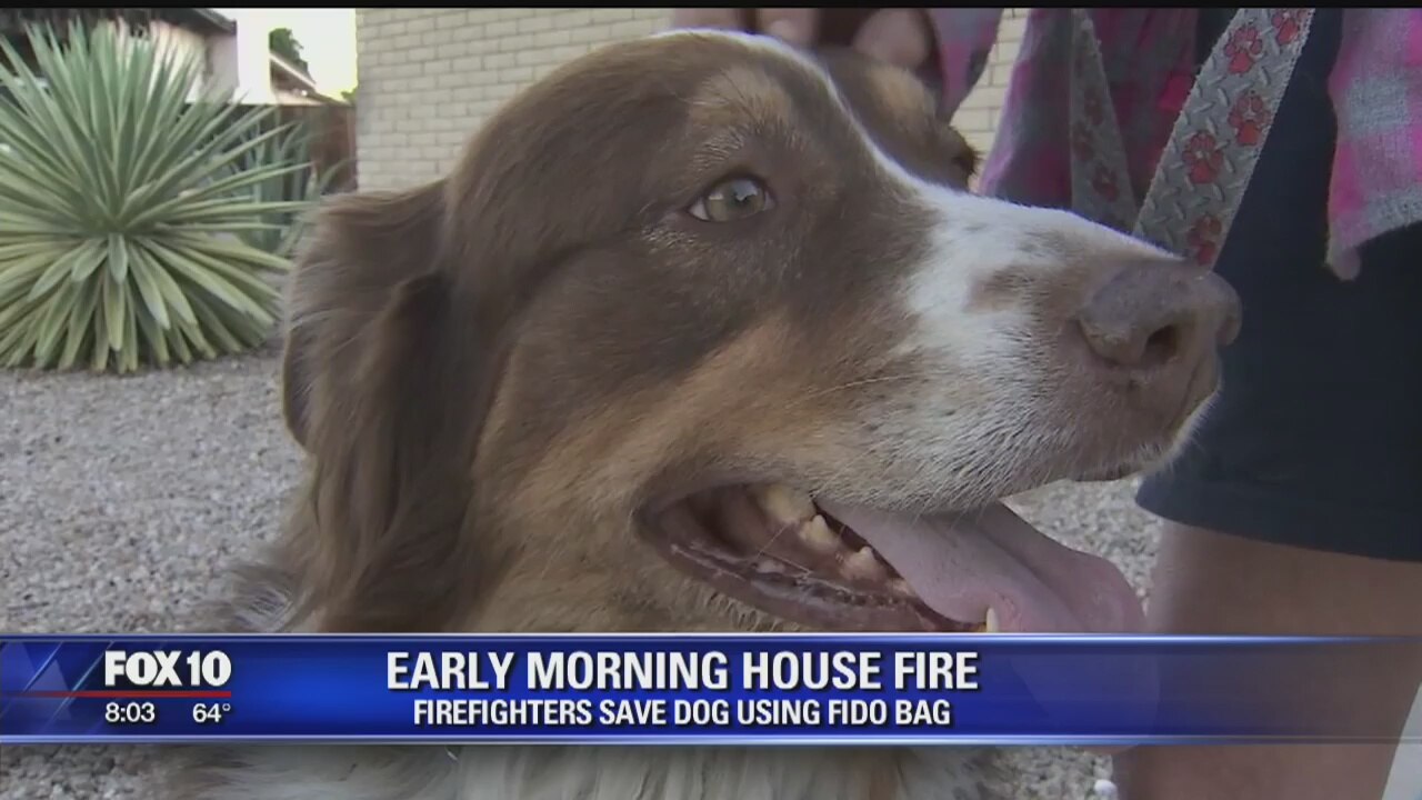 Firefighters save dog from Valley house fire