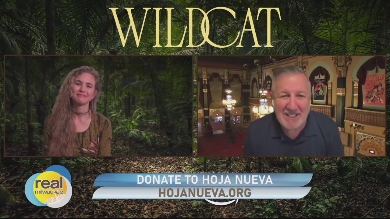 Gino at the Movies: 'Wildcat'