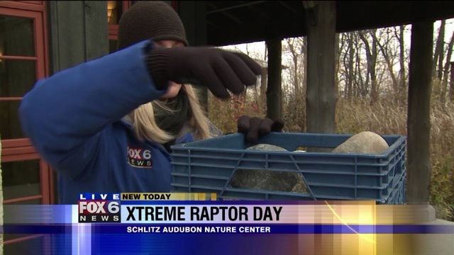 How much can an egg handle in weight? Laura finds out