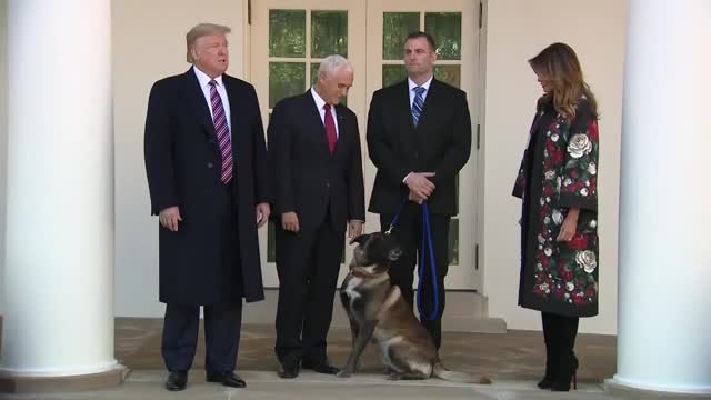 Trump honors hero dog Conan at the White House