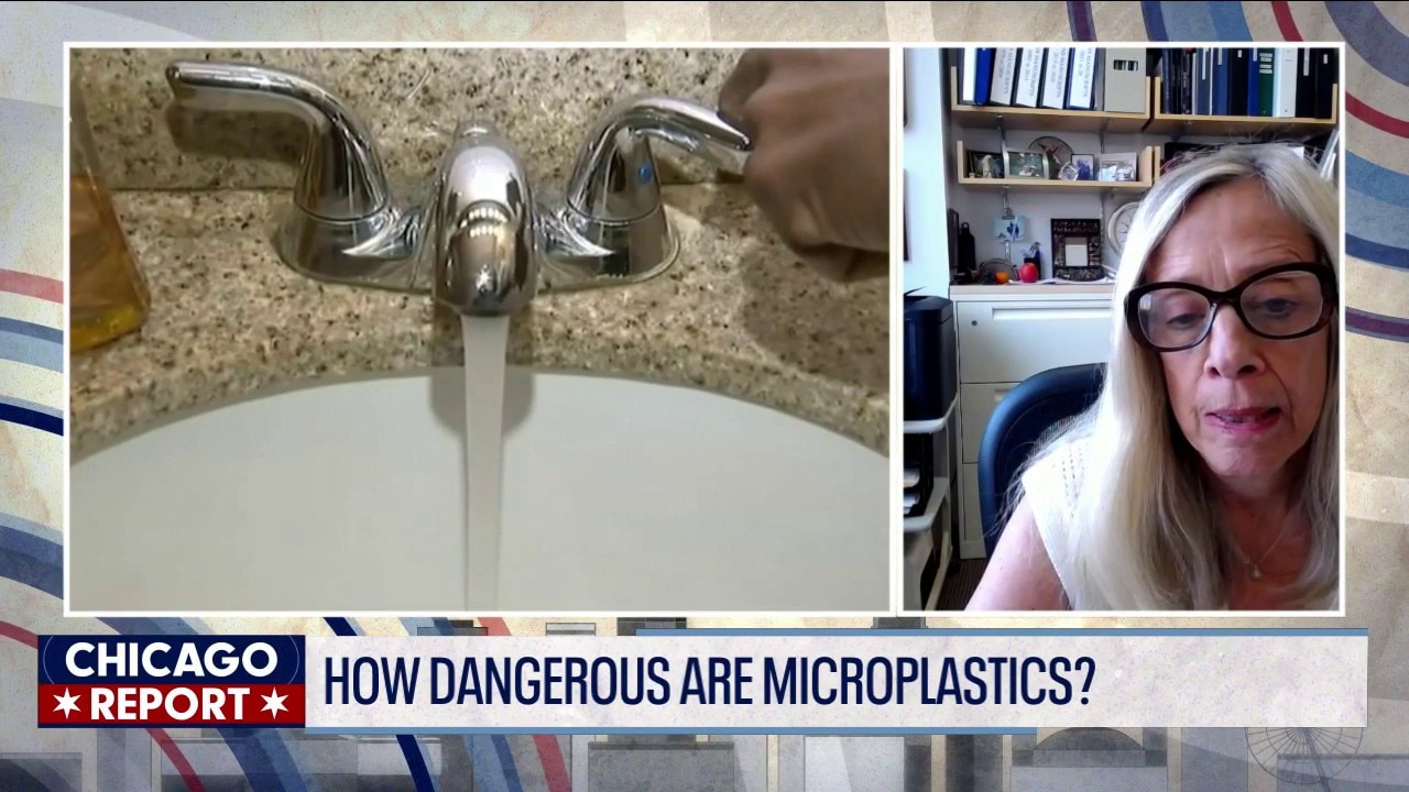 New report on microplastics in Illinois waterways | The Chicago Report