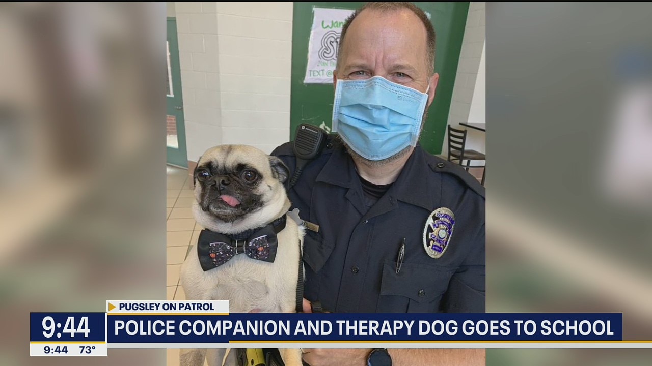 Southlake officer and his pal Pugsley helping students in schools