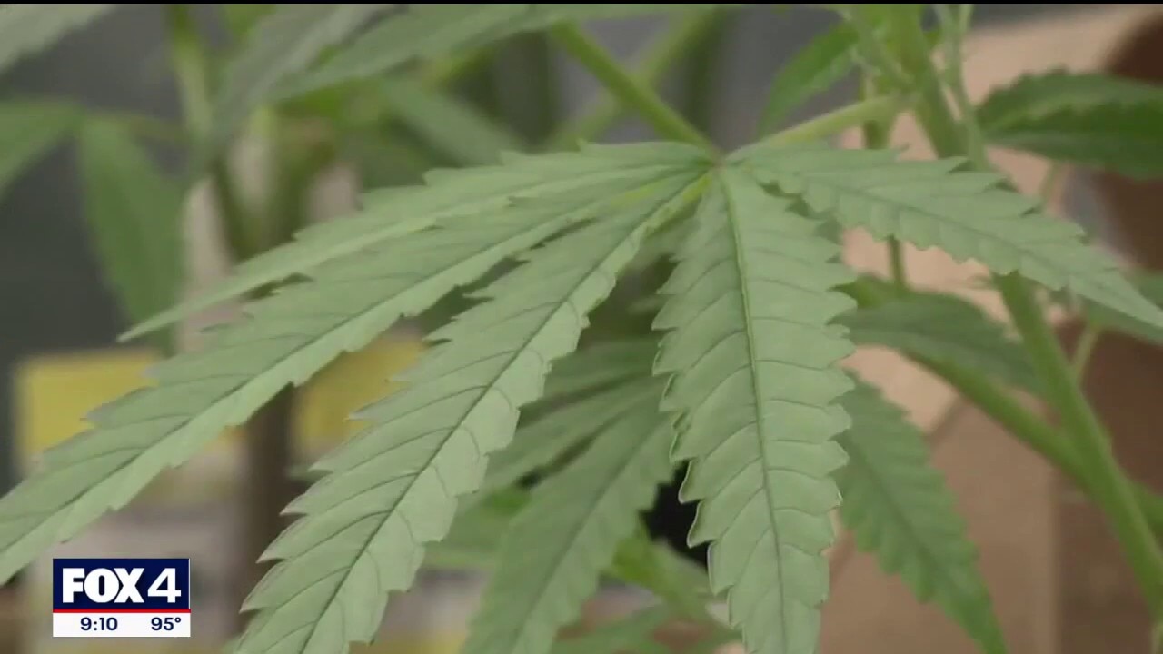 New THC ban goes into effect in Texas on Friday