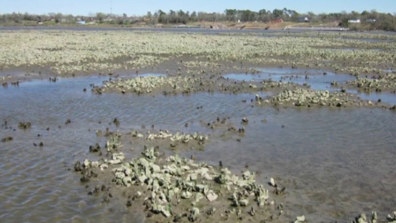 EPA orders toxic waste cleanup