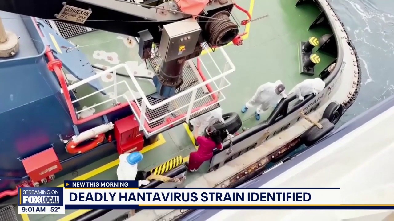 Hantavirus update: Deadly human-to-human strain identified on cruise ship
