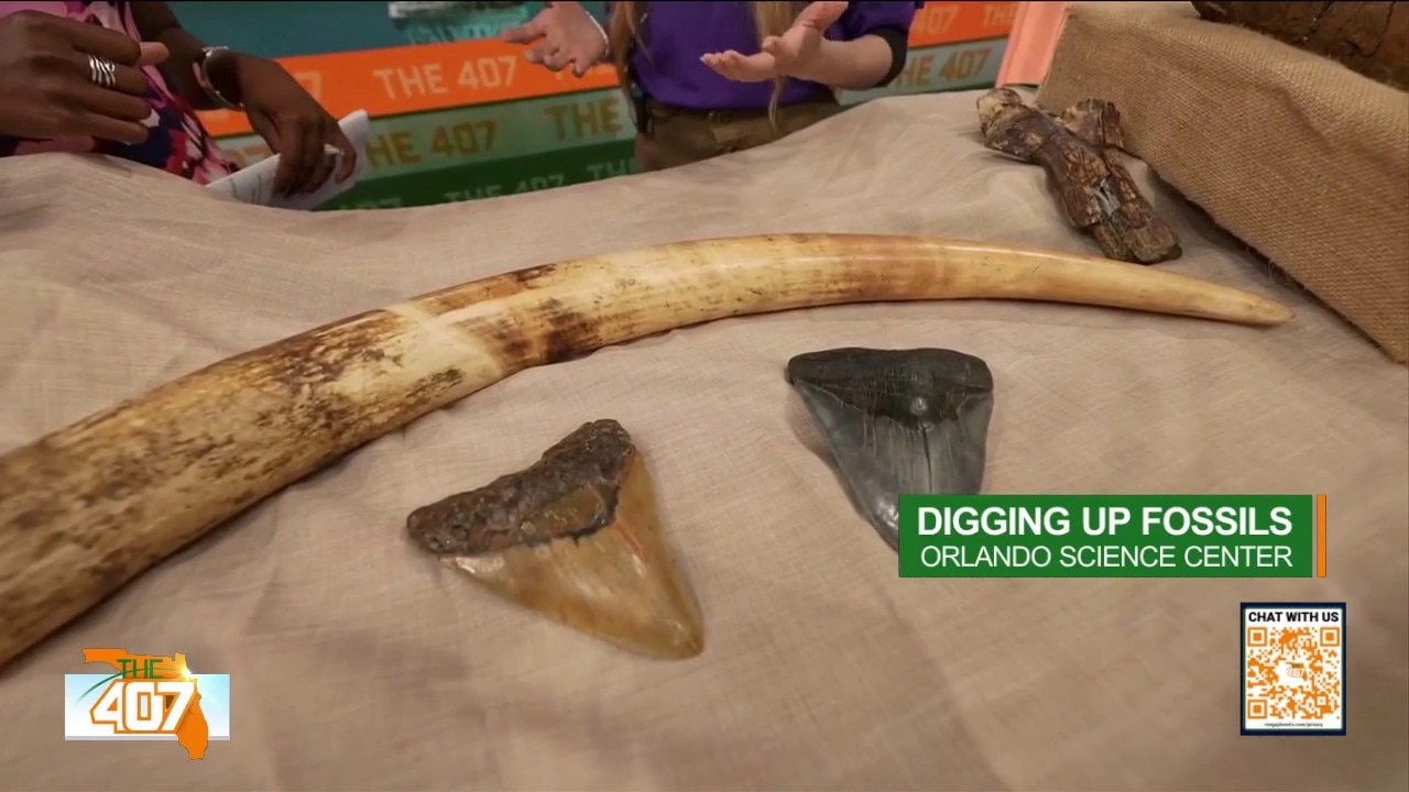 Prehistoric Treasures Take Over Orlando Science Center