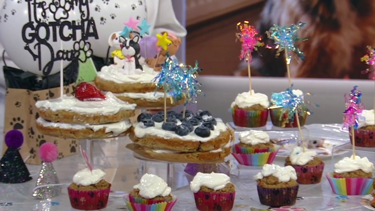 Bake your dog's next birthday cake