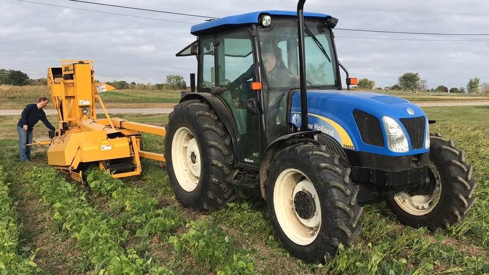 Harvest season at the Hunger Task Force Farm