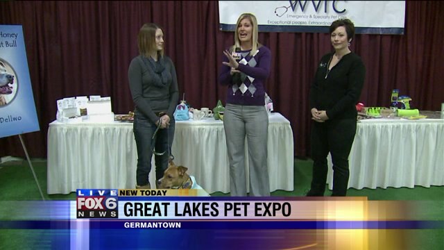 Laura gets details on the Great Lakes Pet Expo